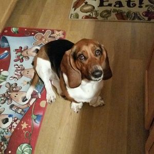 Meet your Posher, Mandi